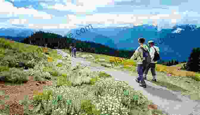 Hikers Ascending The Hurricane Hill Trail, With Views Of Mount Olympus And The Olympic Mountains Hiking Olympic National Park: A Guide To The Park S Greatest Hiking Adventures (Regional Hiking Series)
