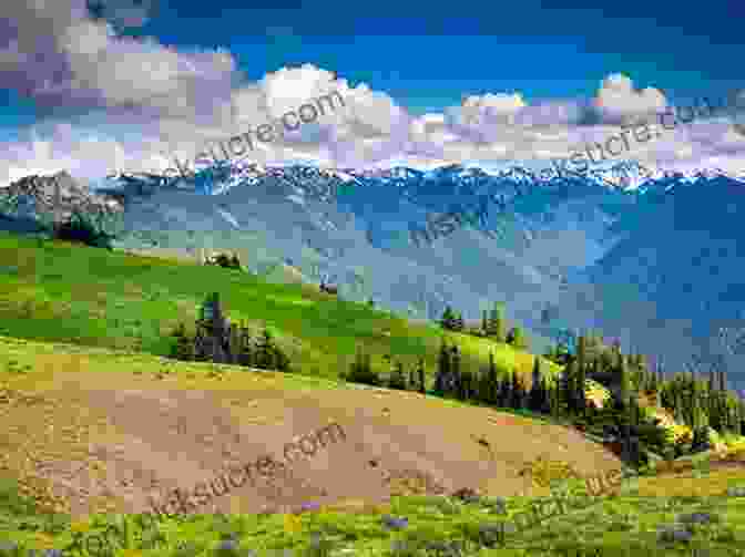 Hurricane Ridge, With Stunning Views Of The Olympic Mountains And Mount Olympus Hiking Olympic National Park: A Guide To The Park S Greatest Hiking Adventures (Regional Hiking Series)