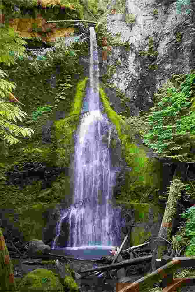 Marymere Falls Cascading Down A Rock Face, Surrounded By Lush Greenery Hiking Olympic National Park: A Guide To The Park S Greatest Hiking Adventures (Regional Hiking Series)