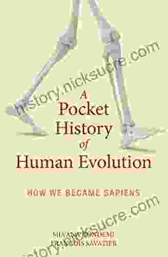A Pocket History Of Human Evolution: How We Became Sapiens