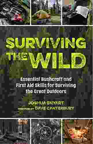 Surviving The Wild: Essential Bushcraft And First Aid Skills For Surviving The Great Outdoors (Wilderness Survival)
