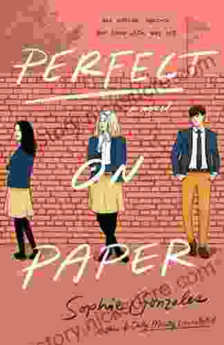 Perfect On Paper: A Novel