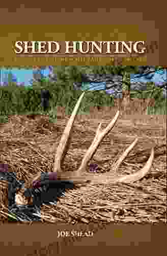 Shed Hunting: A Guide To Finding White Tailed Deer Antlers